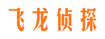 岚县侦探公司